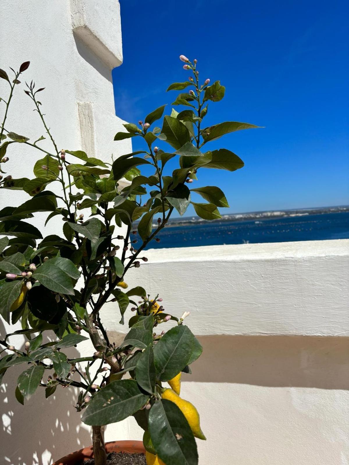 Ferienwohnung Il Palazzino Taranto Exterior foto
